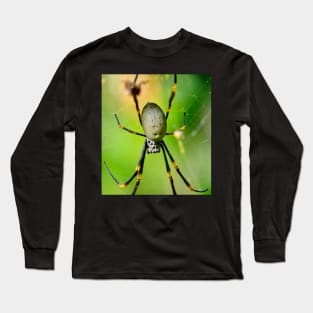 The Orb Weaver Spider awaits its meal! Long Sleeve T-Shirt